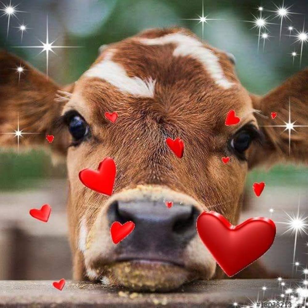 Meet your Posher, Tricia